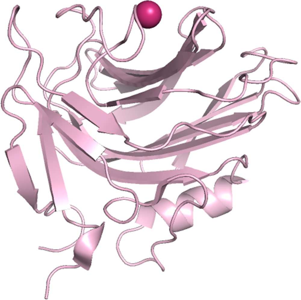 Calcium binding protein