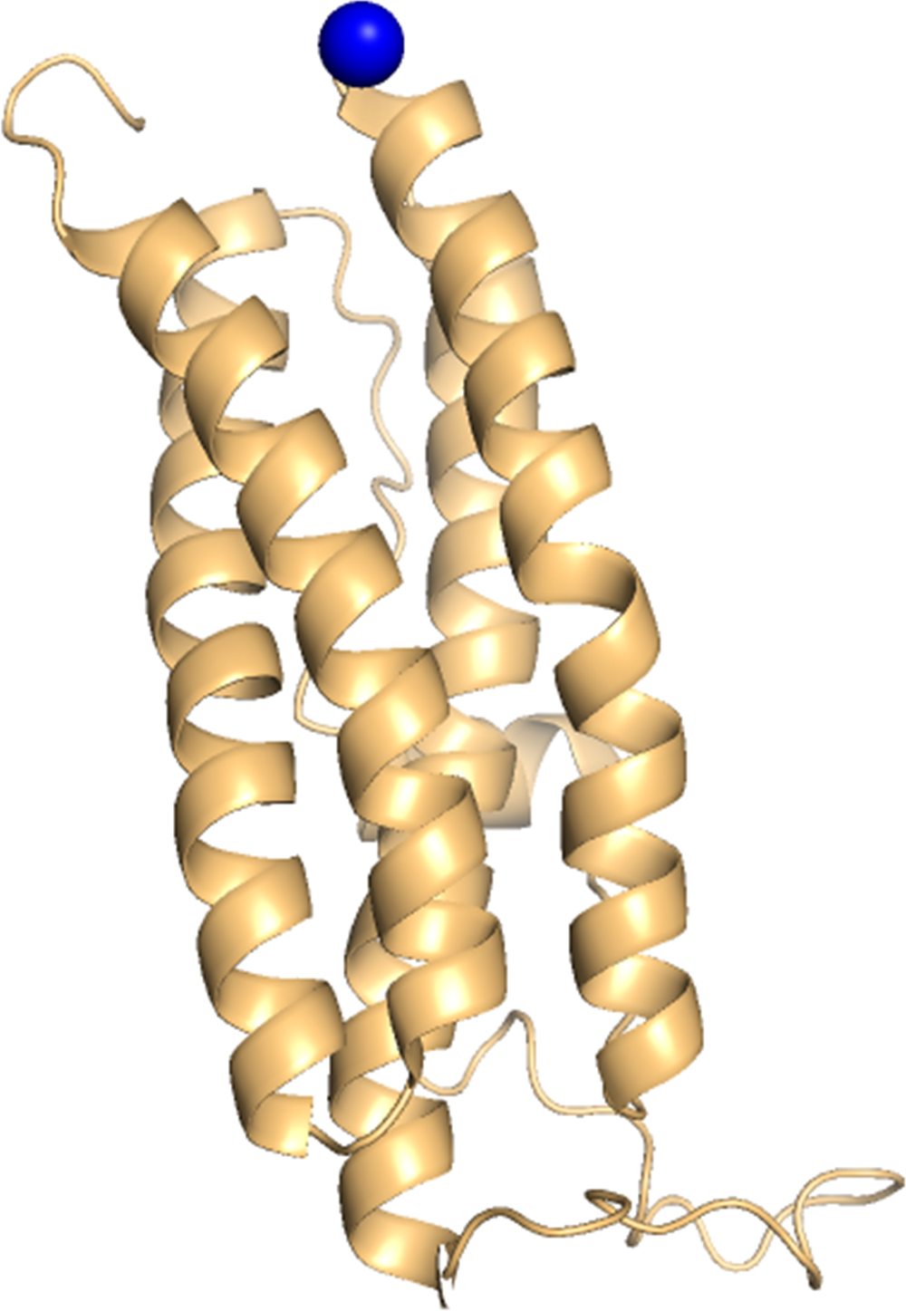 Cobalt binding protein