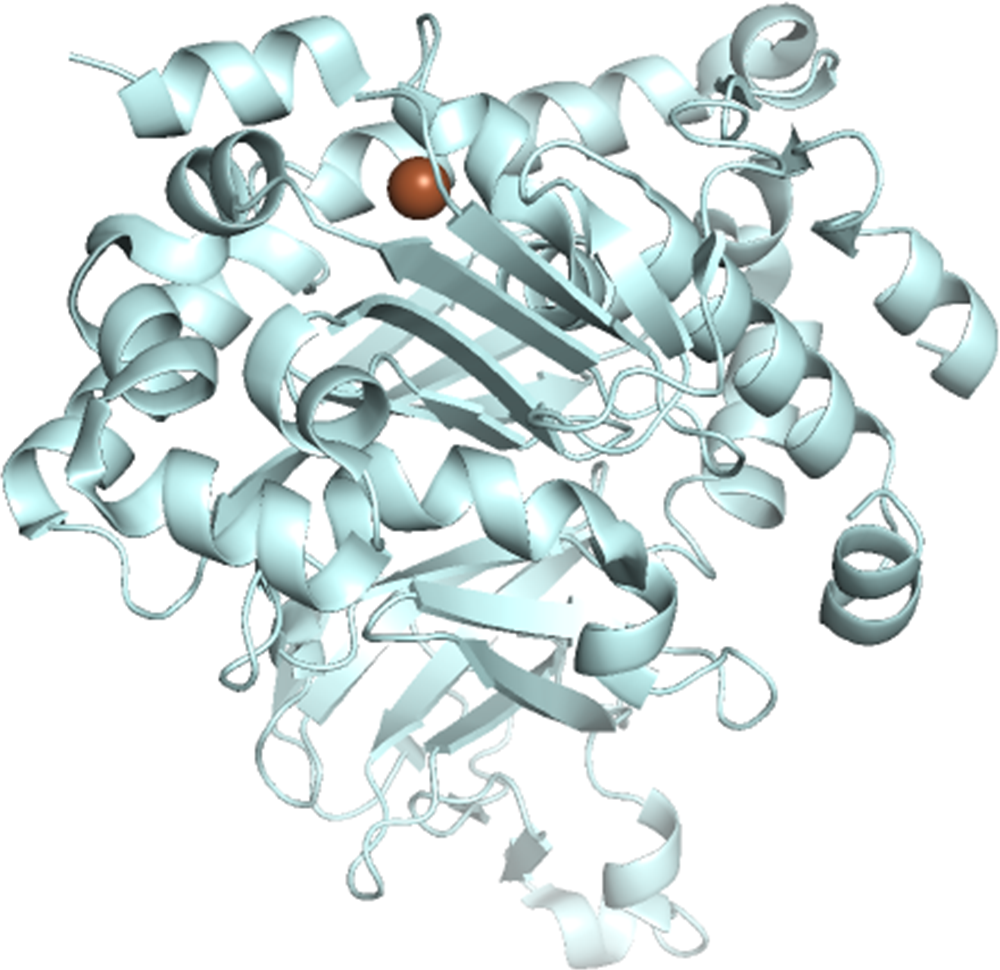 Iron binding protein