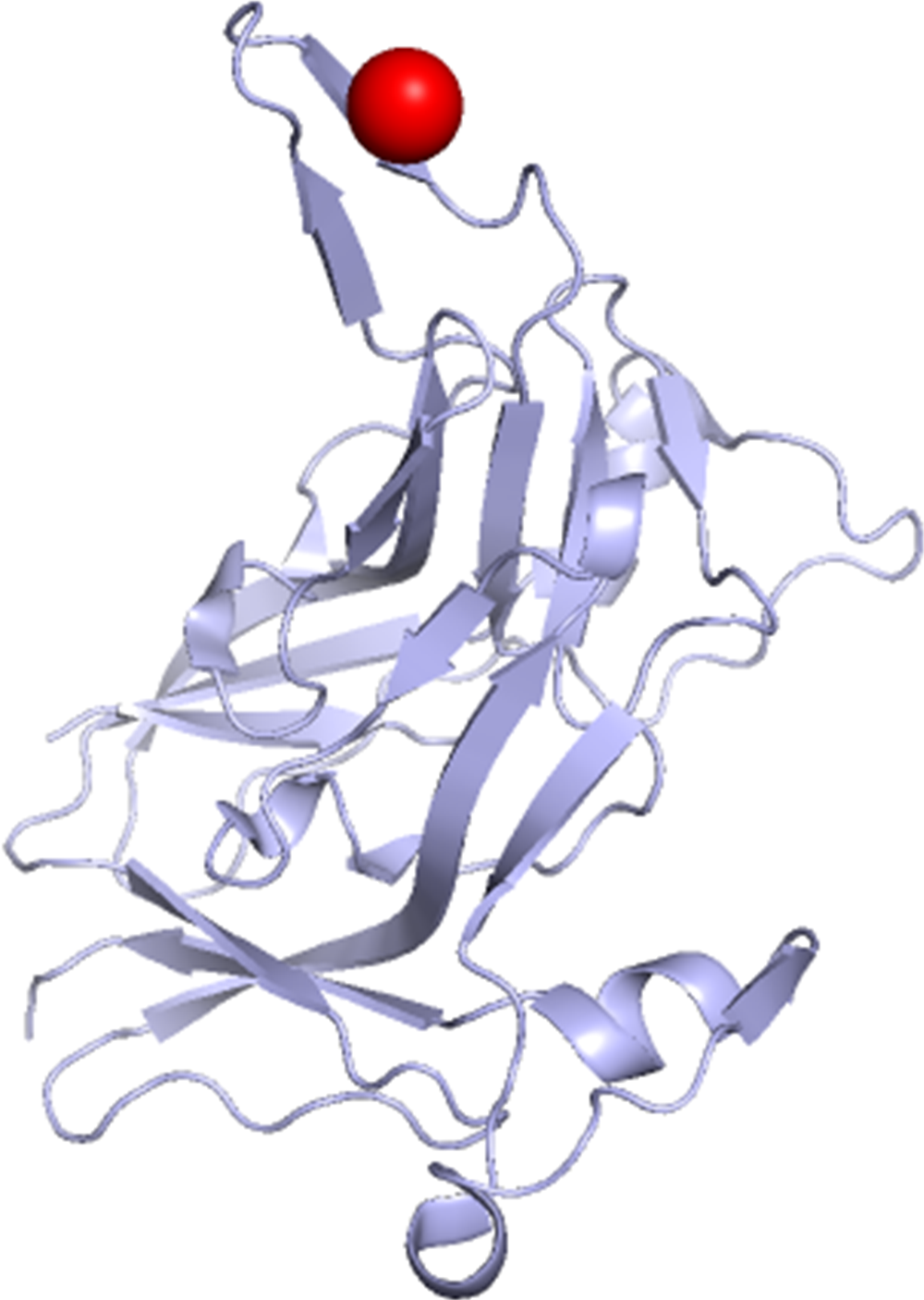 Potassium binding protein