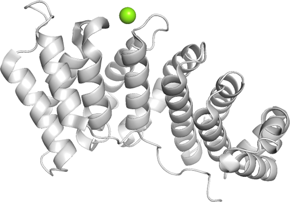 Magnesium binding protein