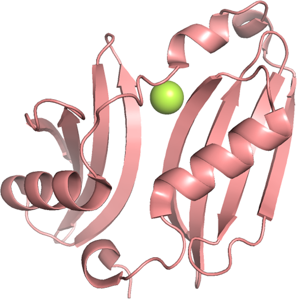 Sodium binding protein
