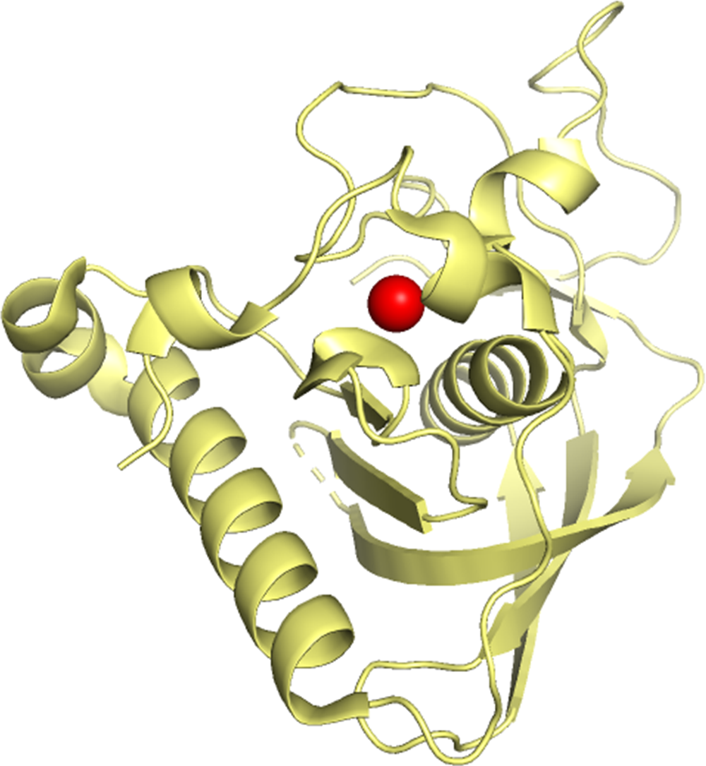 Nickel binding protein