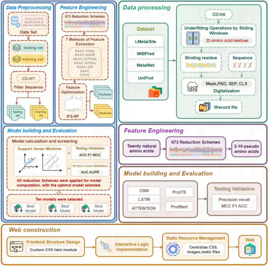 RAACMatel Workflow