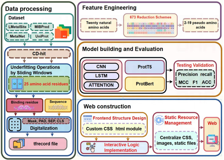 Model Parameters