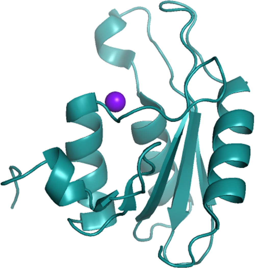 Zinc binding protein