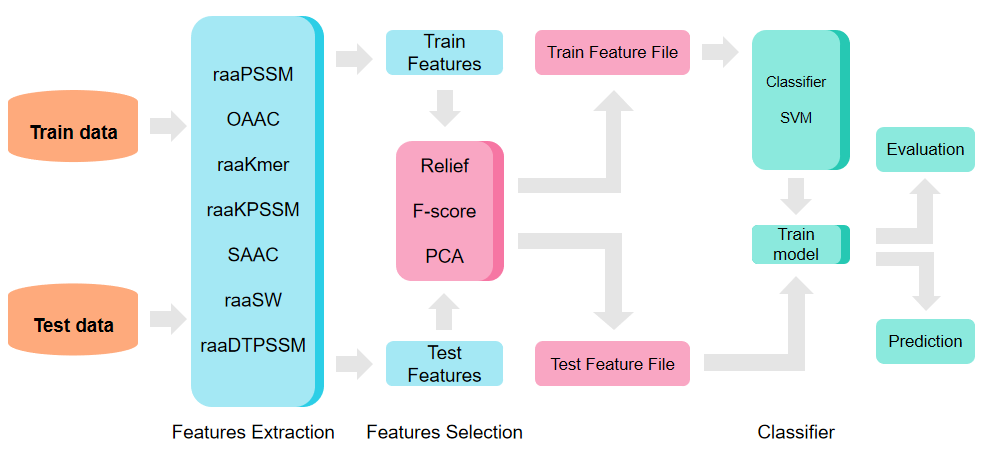 RPCT Classification Process