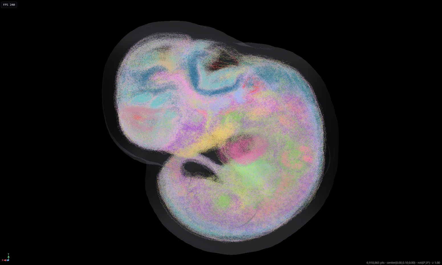 E11.5 Whole Mouse Embryo 3D preview